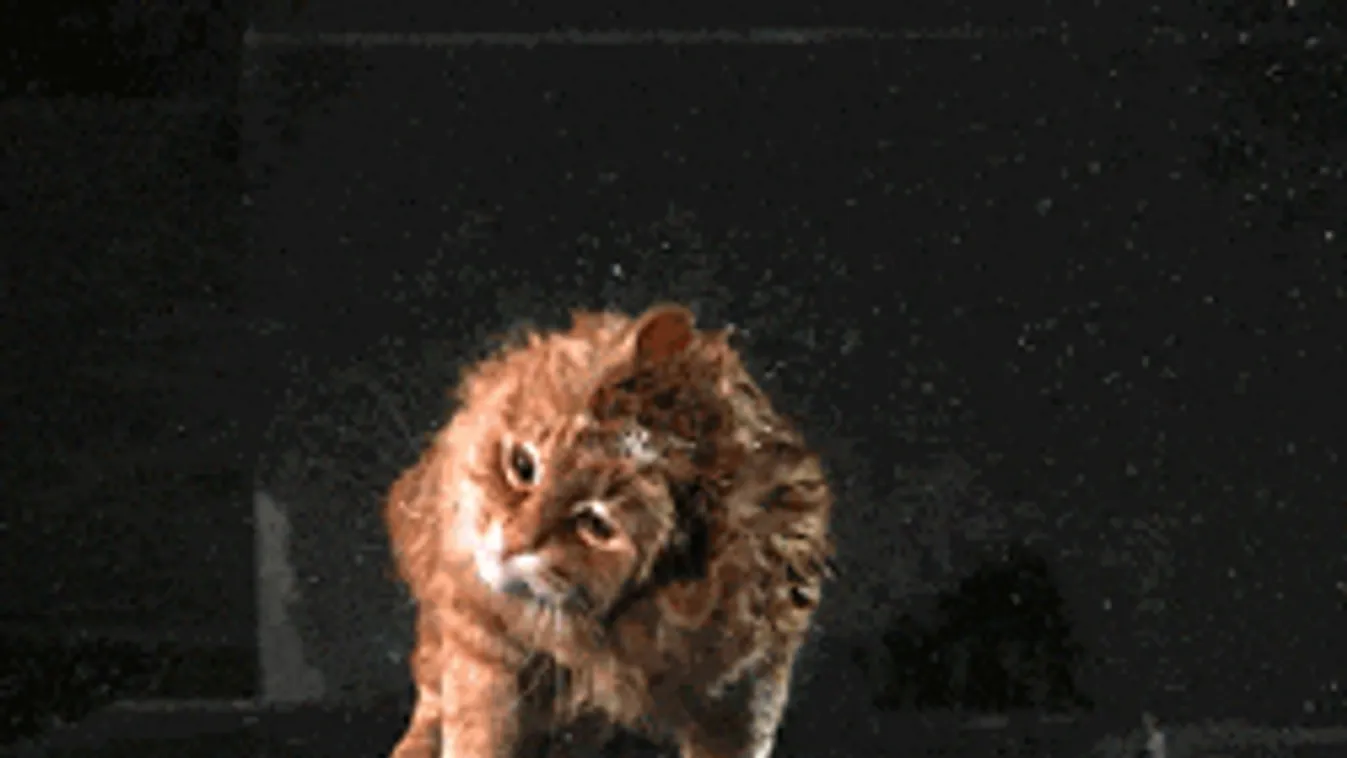 Itt csap le a felhőszakadás ma reggel: mutatjuk, mi jön azután!