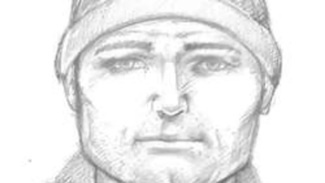 Megmutatta nemi szervét a villamoson szemben ülőnek, így néz ki