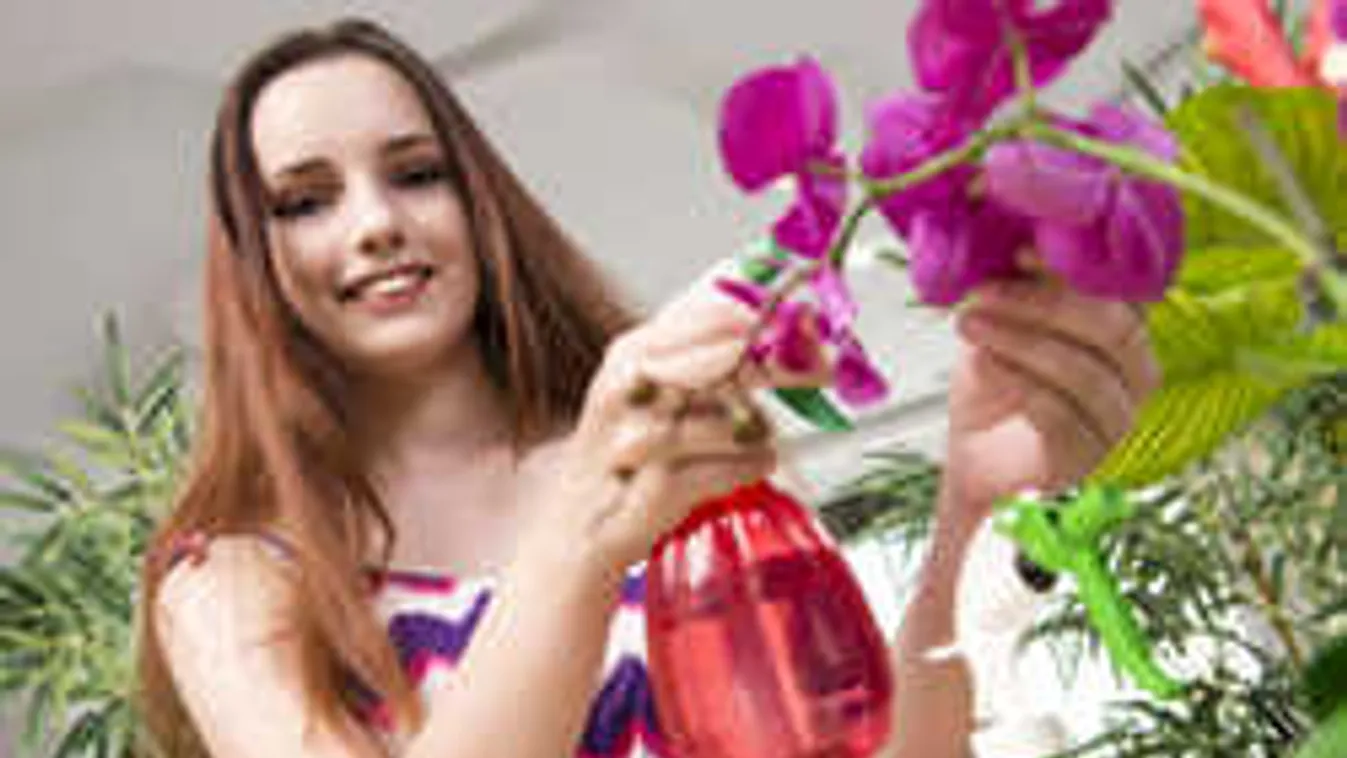 Így öntözd az orchideát és hónapokig virágzik majd