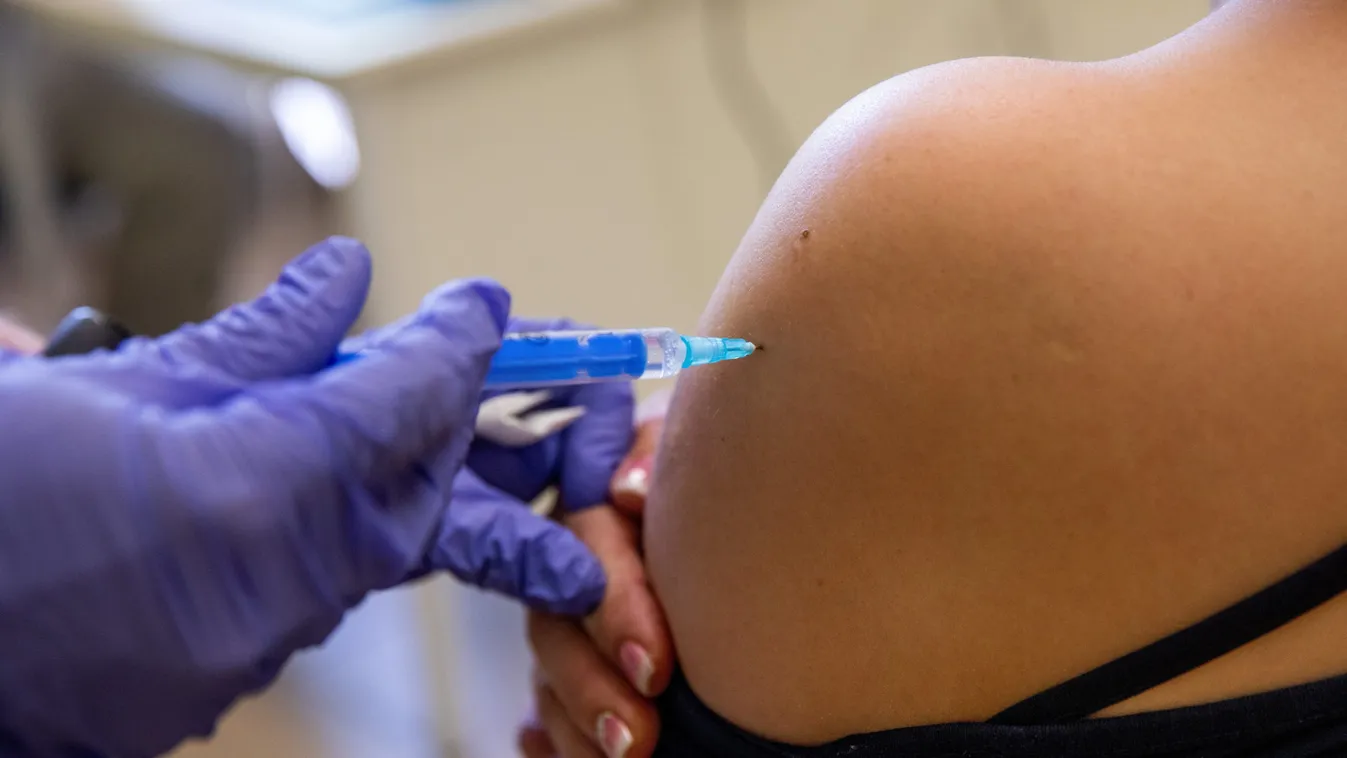 Szatmáriné Schell Anikó