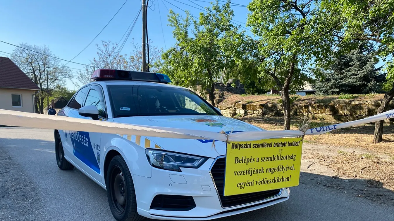 Újabb részletek: álmukban ölte meg a diósdi baltás azokat, akik befogadták