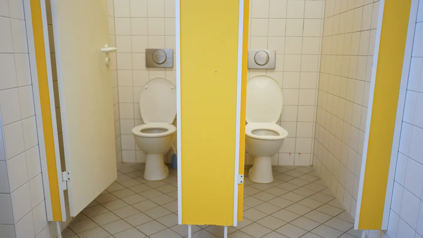 Start of the competition "Toilets make school"