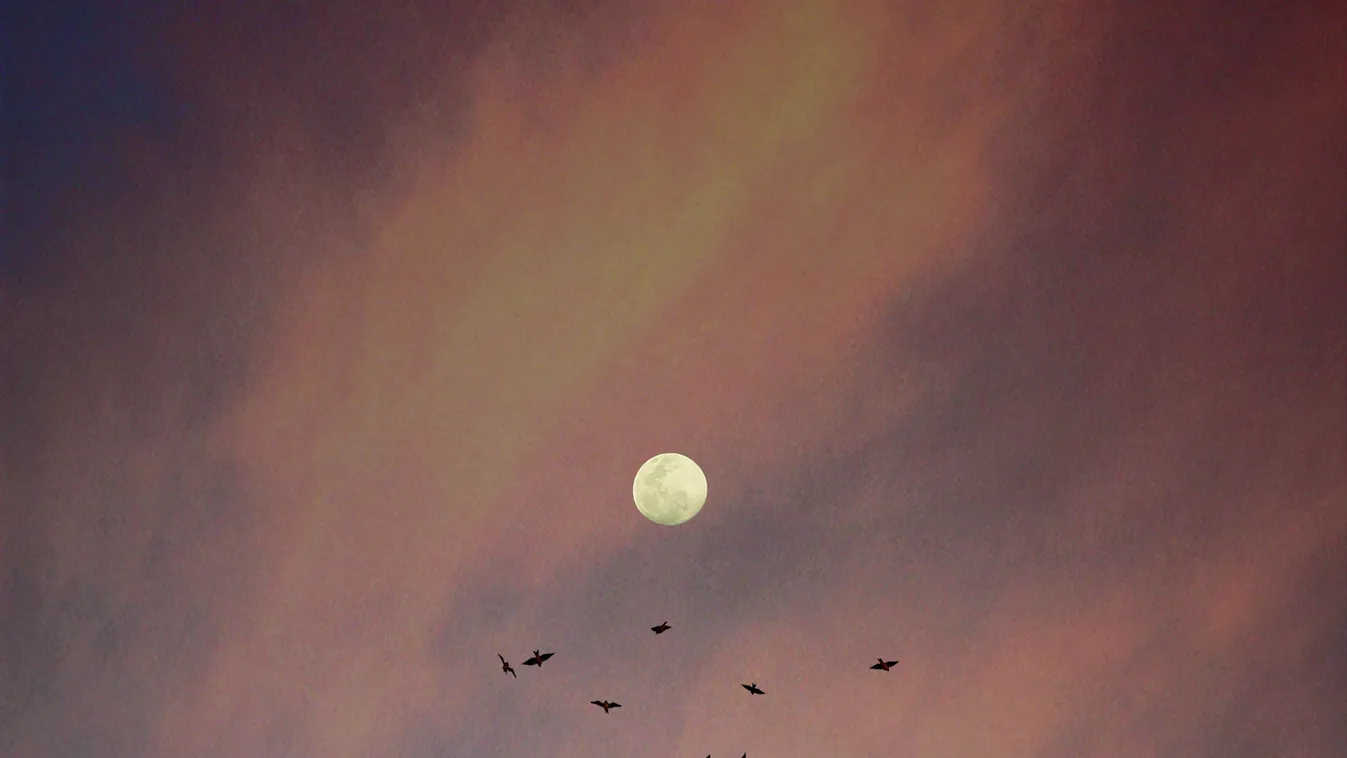 Ma érkezik a nyár legforróbb teliholdja, így hat az életedre