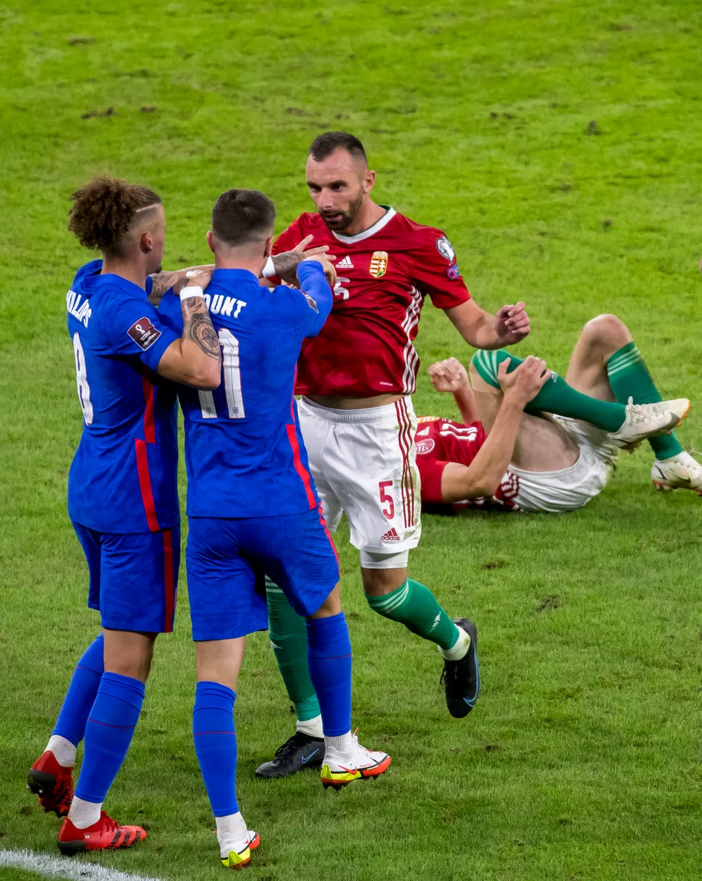 8_0619959SZL3621-scaled