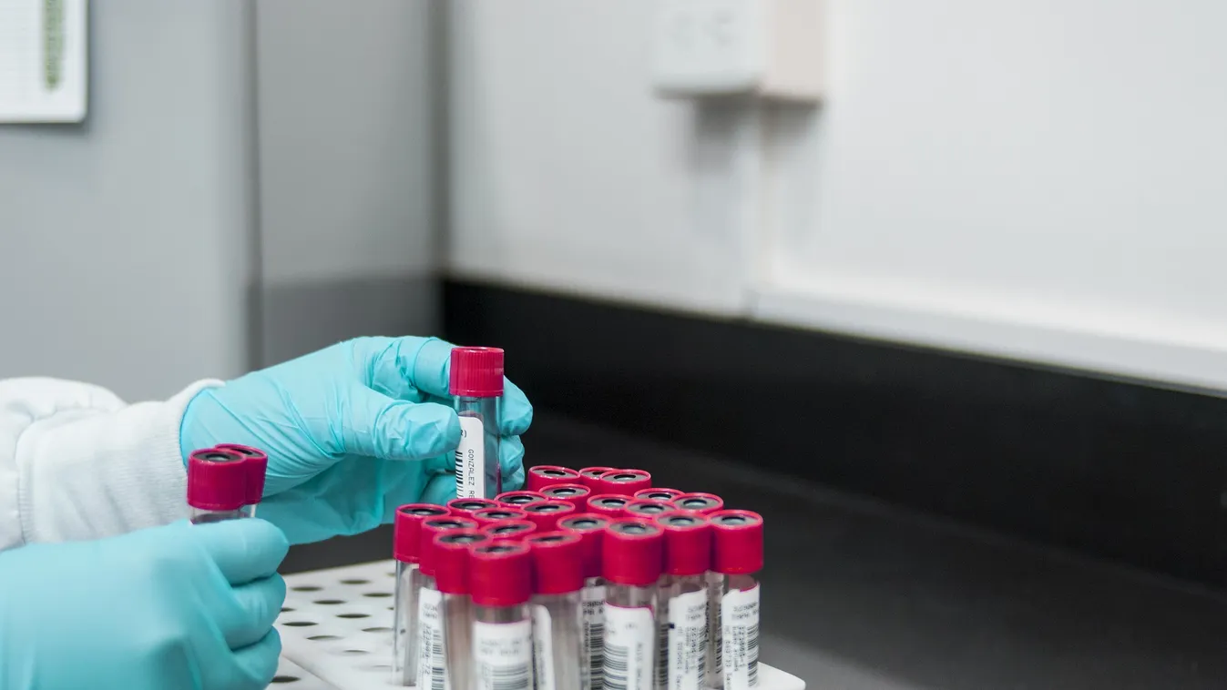 Új fejlesztés, sikerült megszüntetni a vírus fertőzőképességét a pécsi kutatóknak