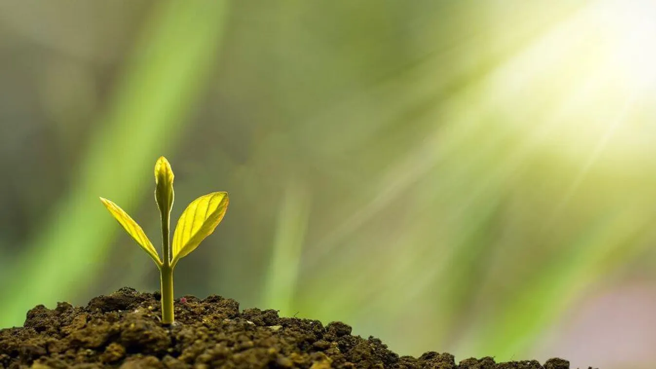 Így segítenek a csillagok, hogy 2022-ben a legnagyobb álmaid teljesüljenek