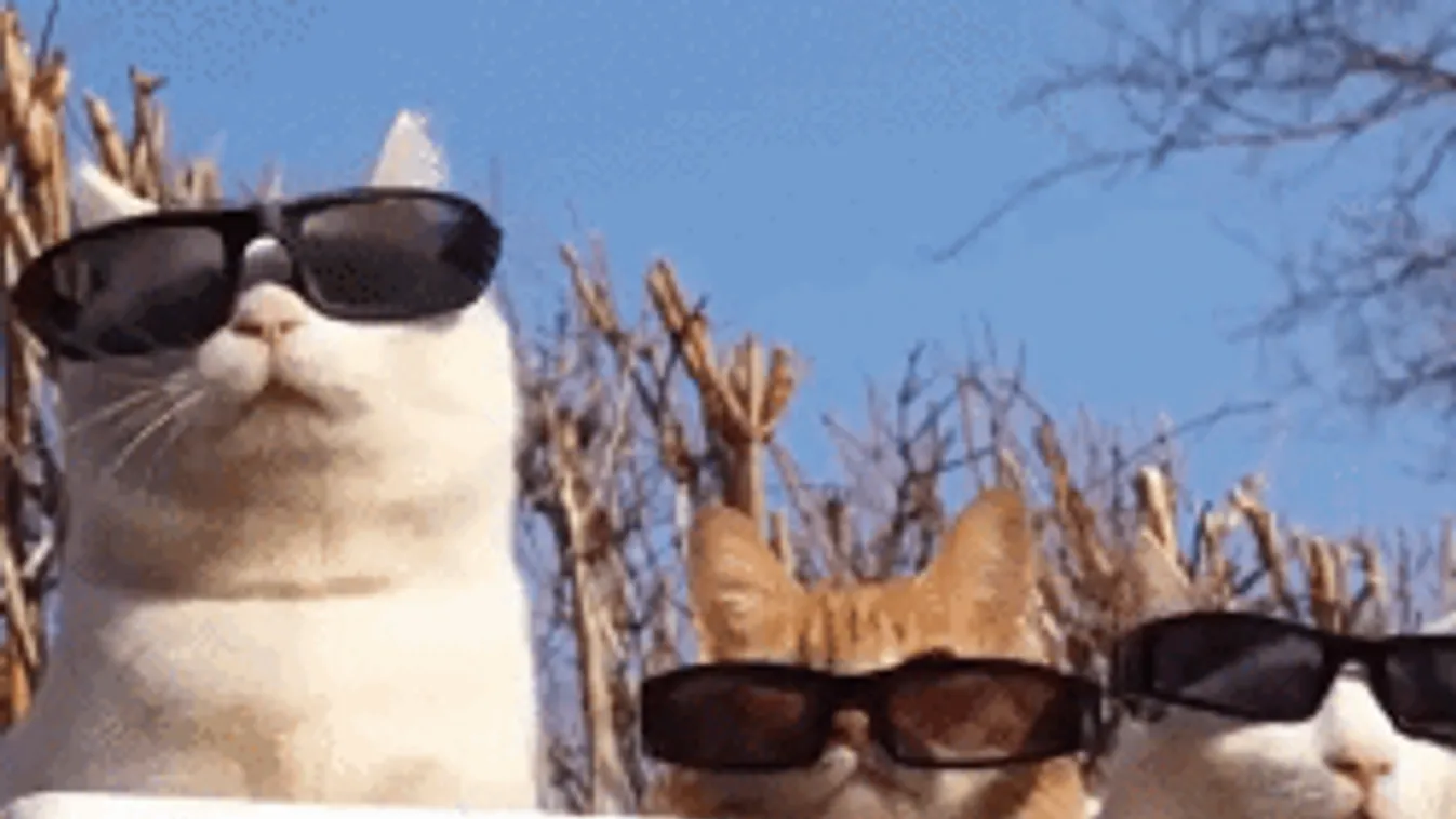 Még tetőzik a hőség, de hamarosan durva viharral csap le a hidegfront