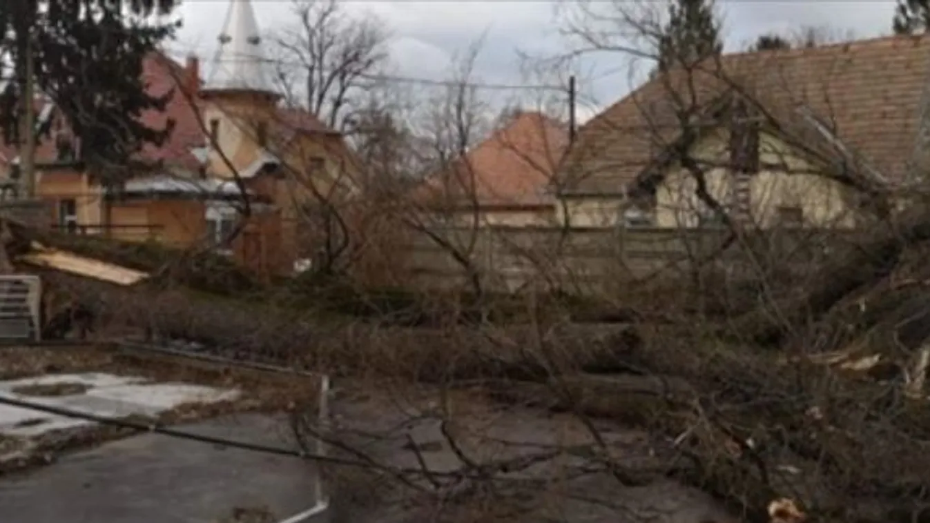 Brutális vihar csapott le az országra: fákat csavart ki a pusztító szél