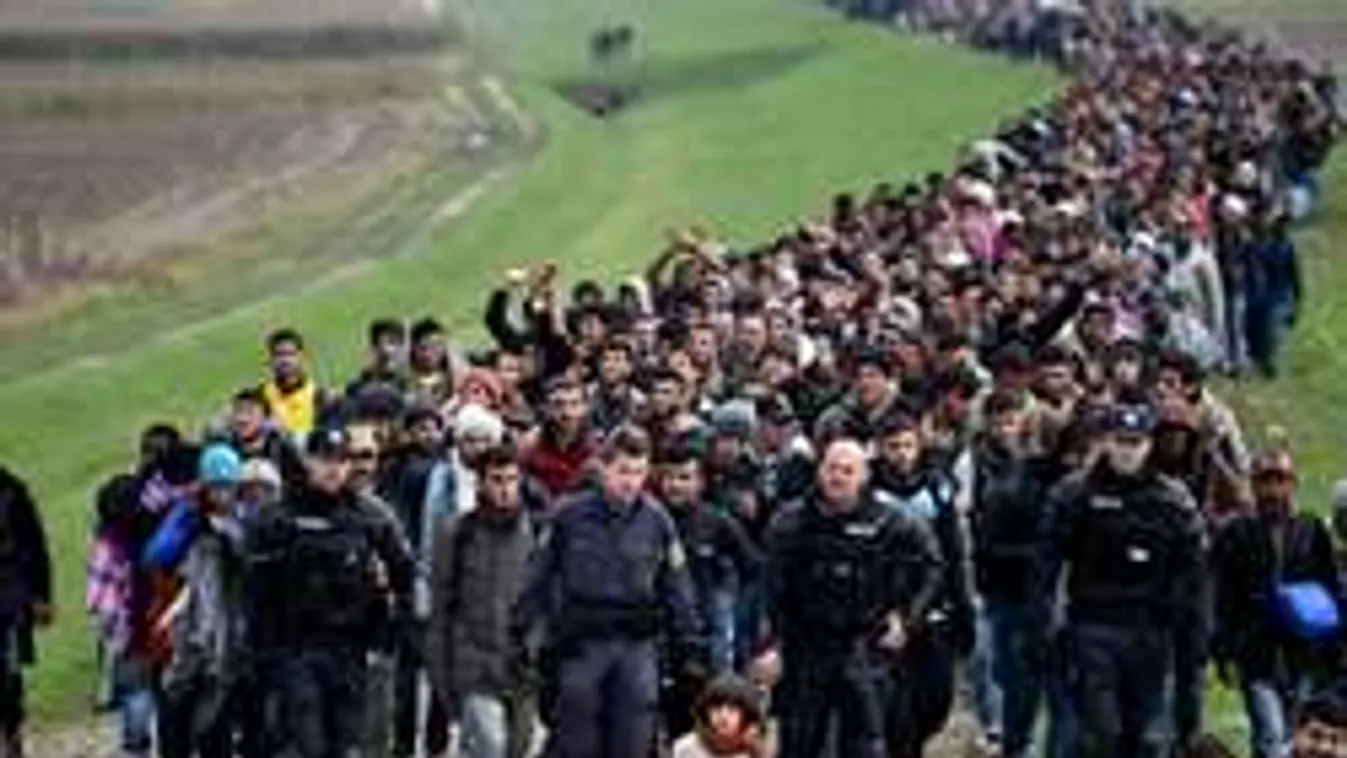 Nagy svindli állhat a migrációs válság mögött