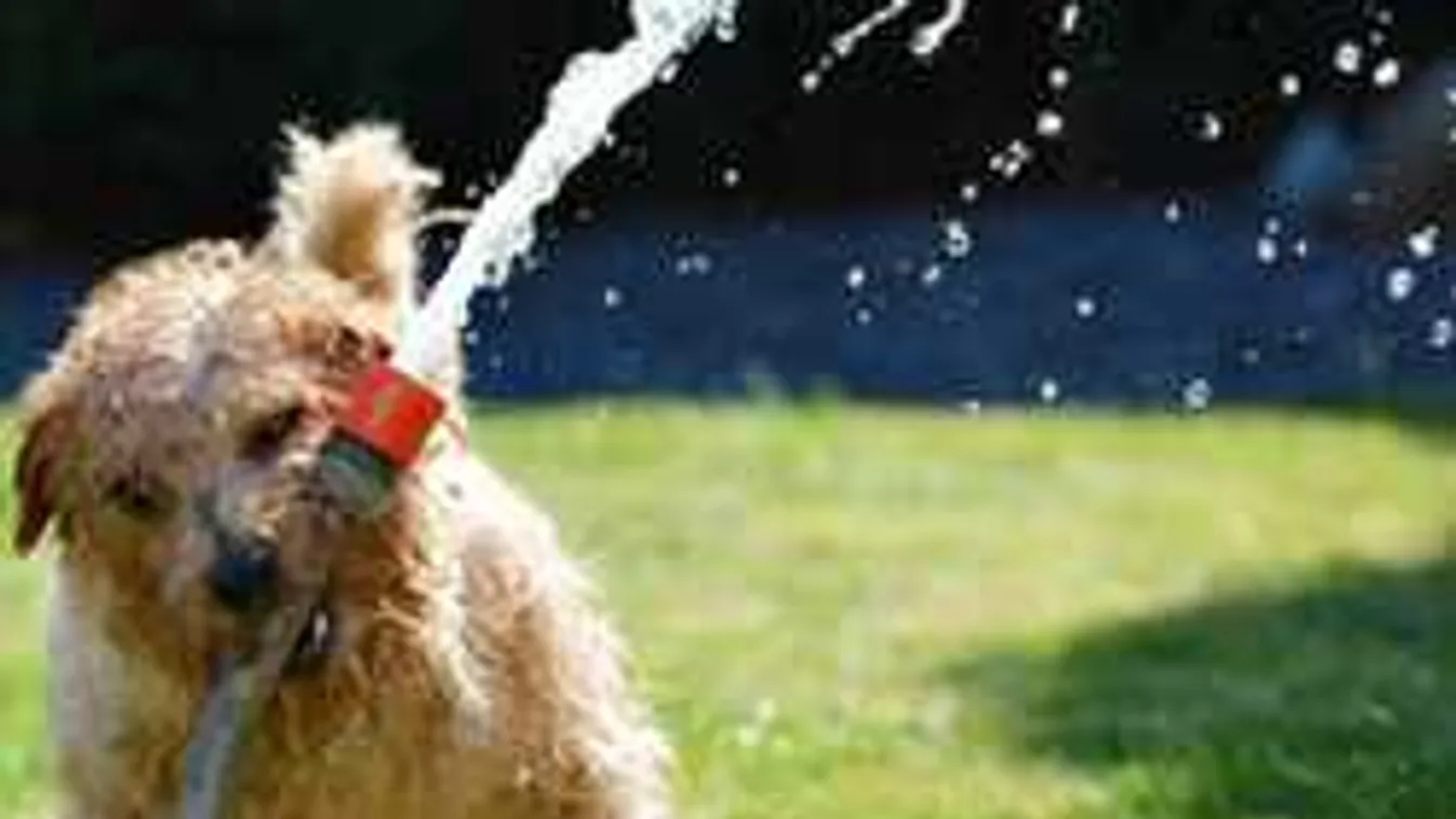 Itt a hőségriadó: napról napra forróbb lesz az idő