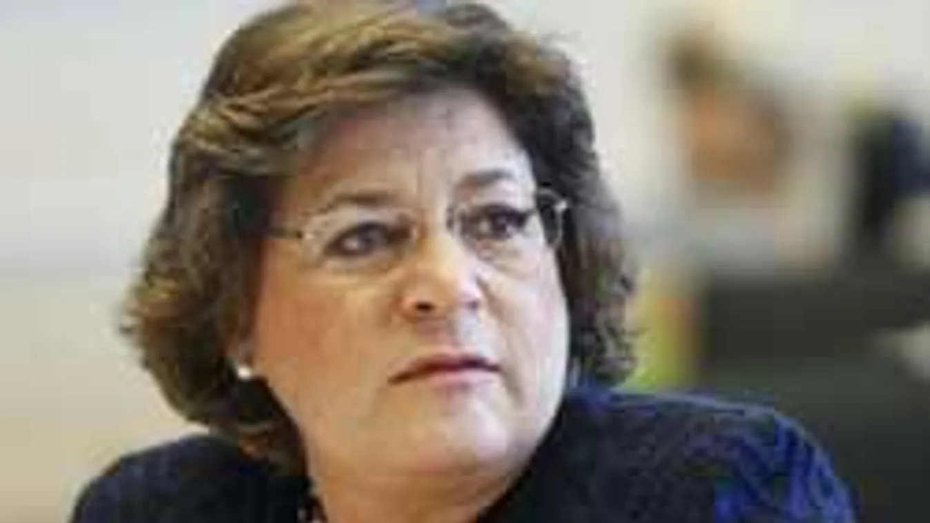 Tárt karokkal fogadná a migránsokat ez a képviselő