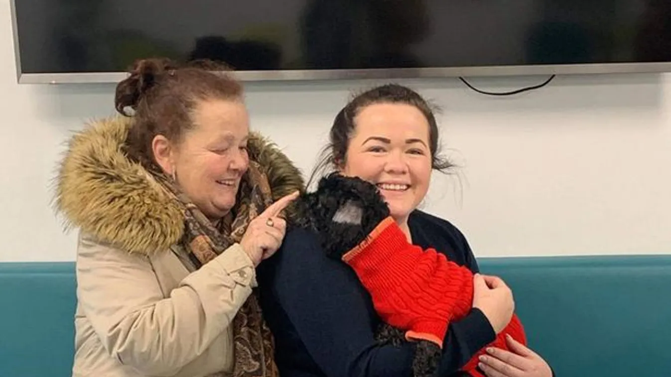 800 kilométerre kóborolt el otthonától egy kutya, másik országban találtak rá