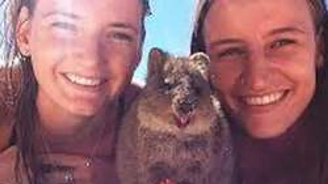 Új szelfi őrület! Fotózd magad kurtafarkúval!