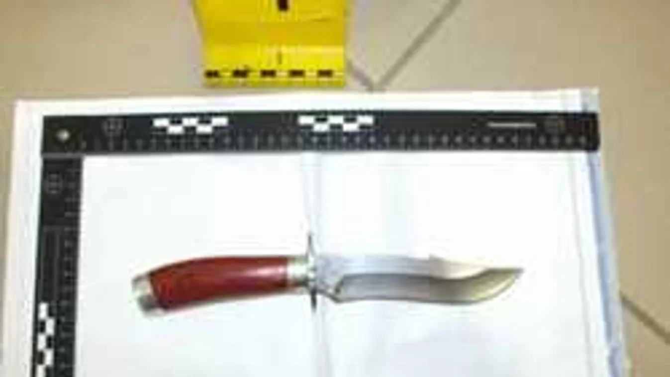 Elővette a tőrét, majd használta is a kocsmában