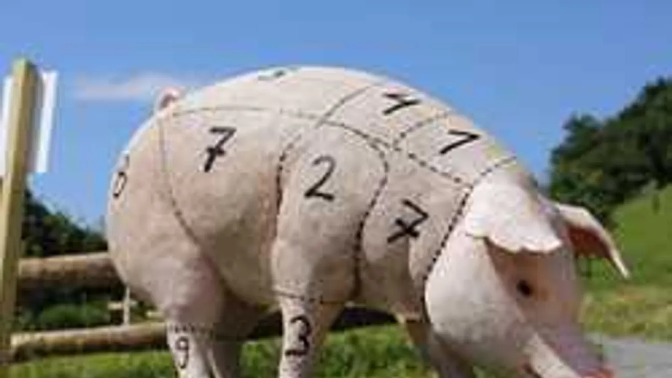 Megrázó videó: undorító, hogy ezt tette a gyerekek előtt az igazgató