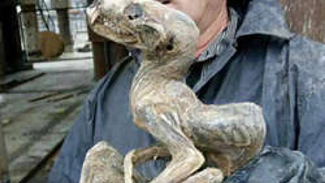 Jakutföldi szörny: Különös lény tetemét hozták fel a gyémántbányából