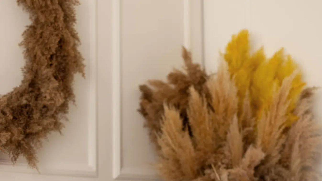 Az SMA-s Zente igazi nagylegény lett: fotókon, hogy mennyit változott 2 év alatt