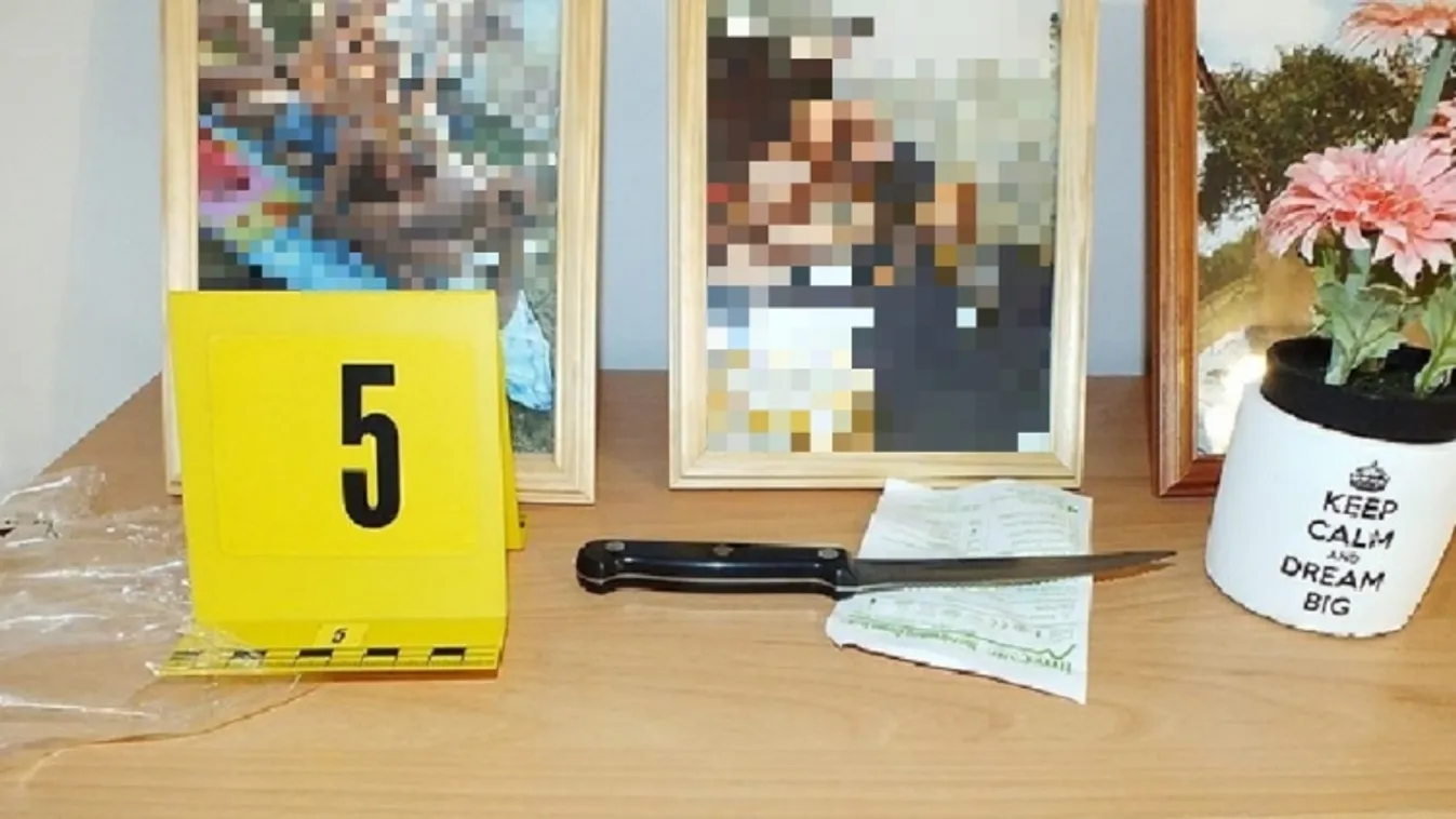 „Megöllek, te szemét!” – üvöltötte a feleség, majd leszúrta férjét Gyömrőn