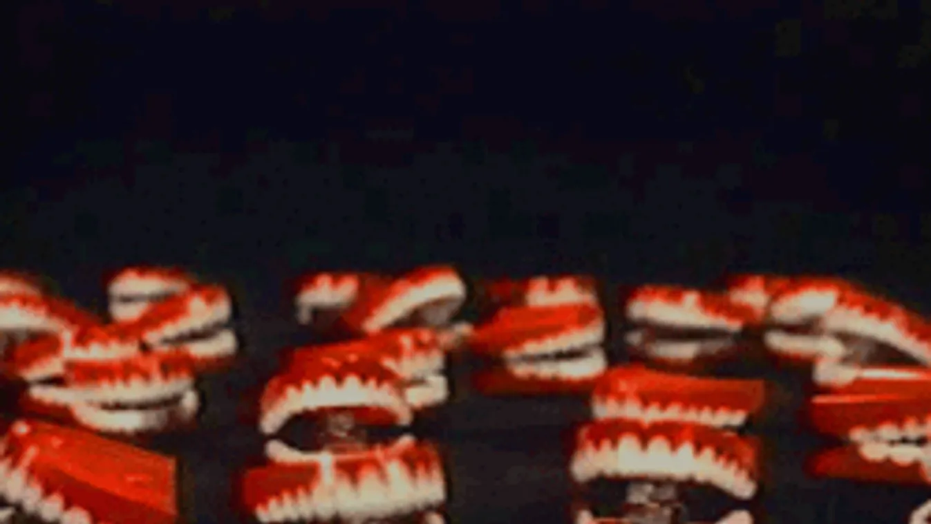 Képes leharapni a férfiasságot a vagina: a legmegdöbbentőbb tévhitek