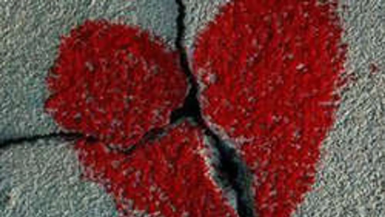 9 tipp, hogy könnyebben lépj tovább szakítás után