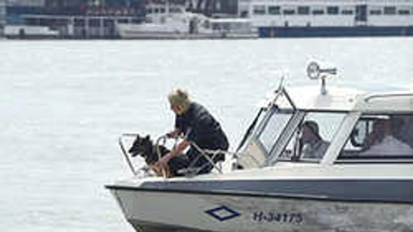 Így keresik kutyákkal az áldozatokat, Dunaújvárosnál folyik a kutatás