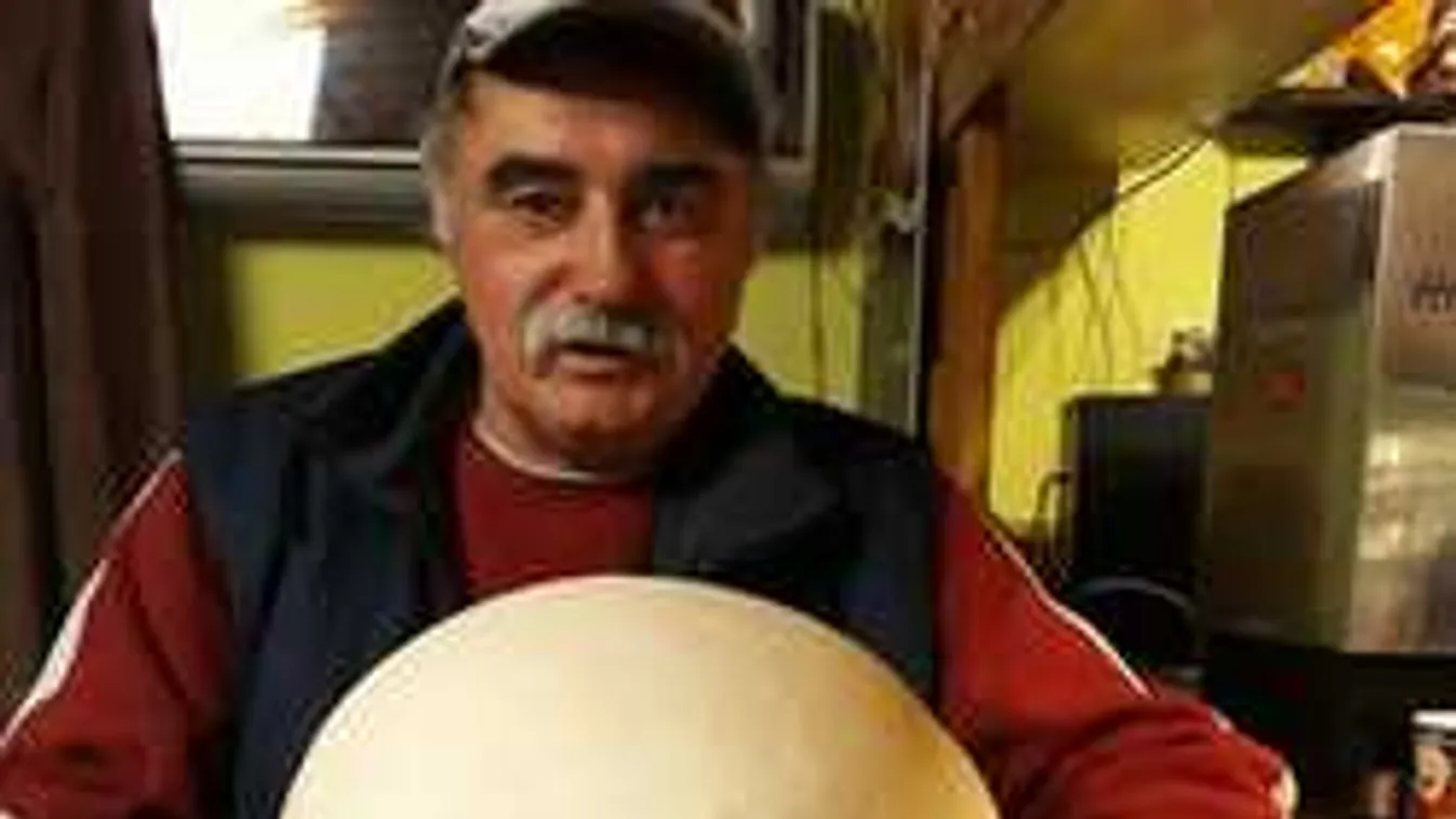 Nem elírás: gombariadó volt Somogysárdon