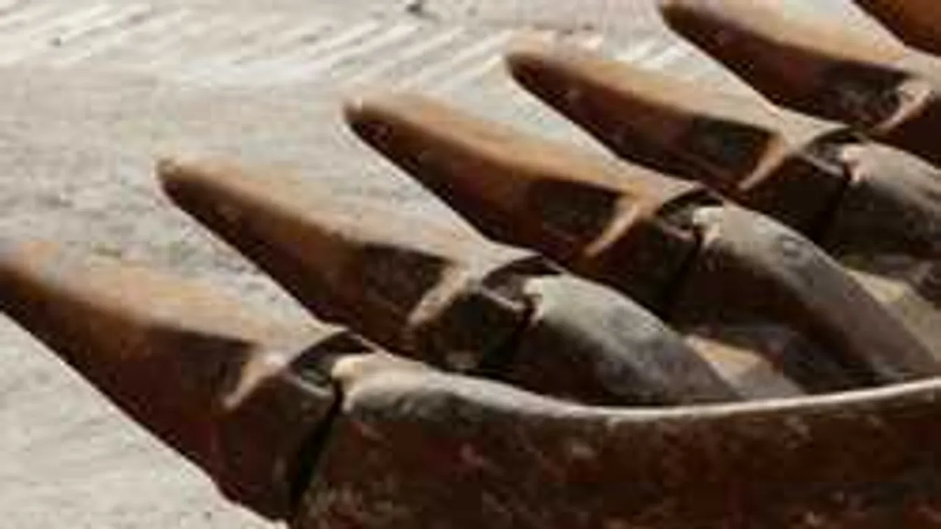 Markológéppel akadtak emberi maradványokra Nyíregyházán