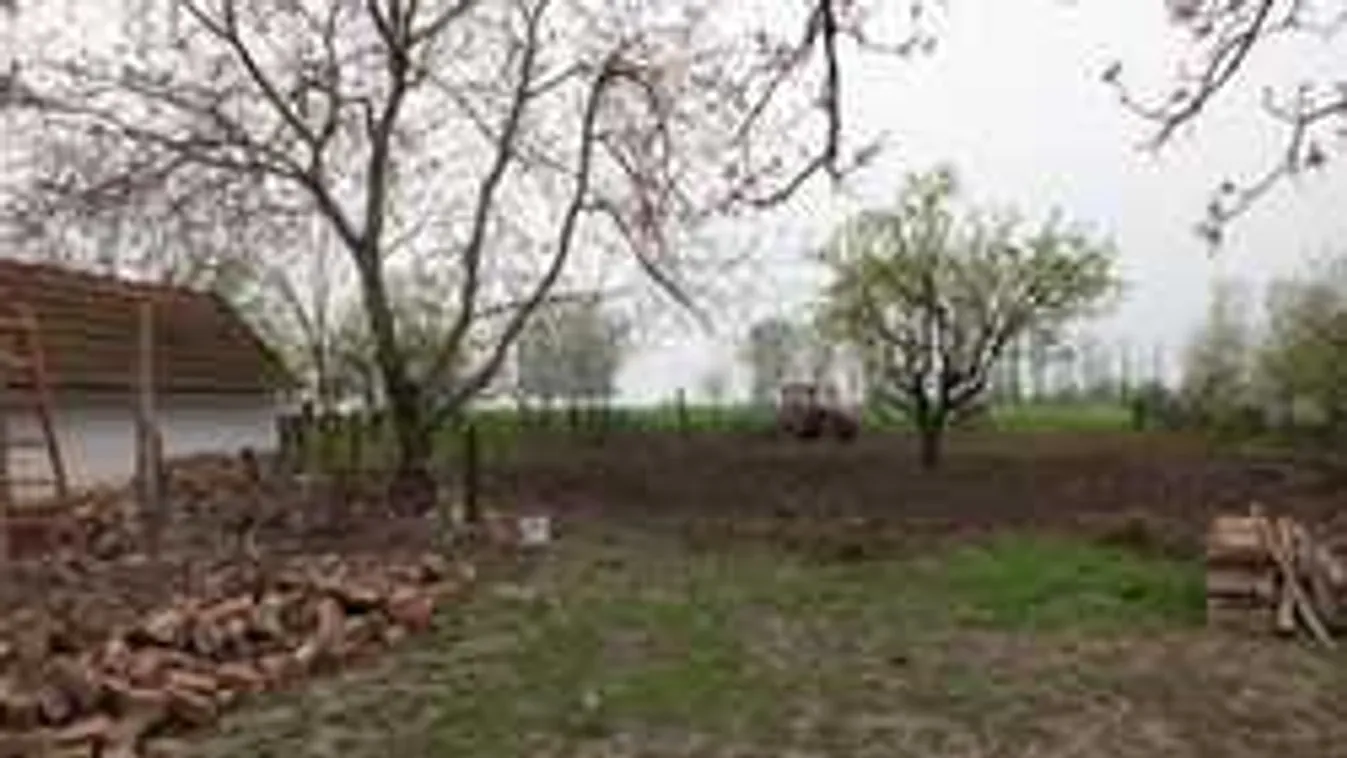 Sokkoló részletek derültek ki a traktorral kiforgatott csecsemőről