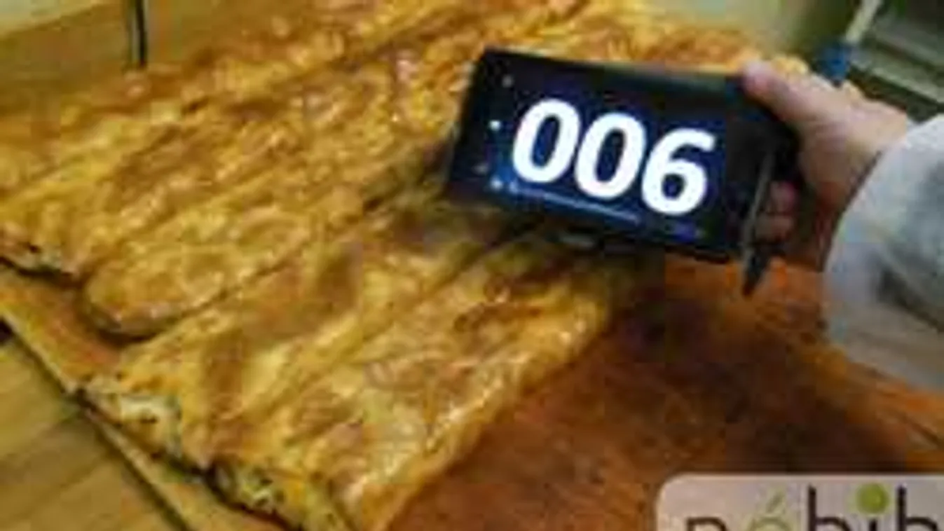 Elborzadtak az ellenőrök, amikor beléptek a budapesti üzembe