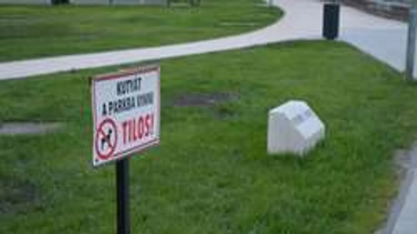 Elképesztő, titokban sétáltatják a kutyát a gazdák Budapesten