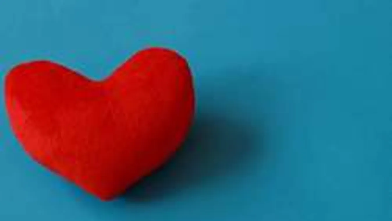 Itt a bizonyíték! Létezik a szeretet ereje - Videó