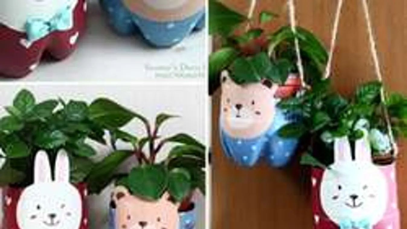 Lampion, pillefüggöny, beltéri fűszerkert ingyen!