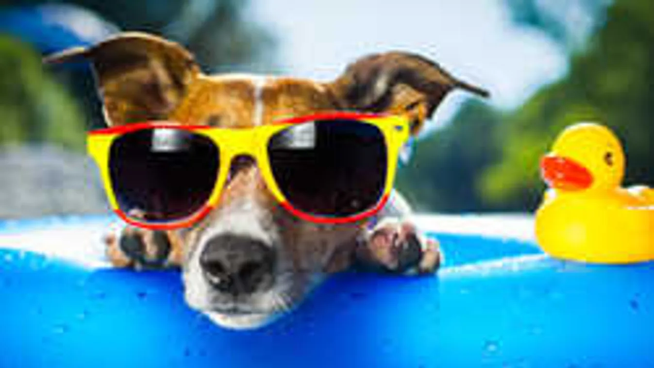 Váratlan fordulat: ezt hozza az idei nyár időjárása...