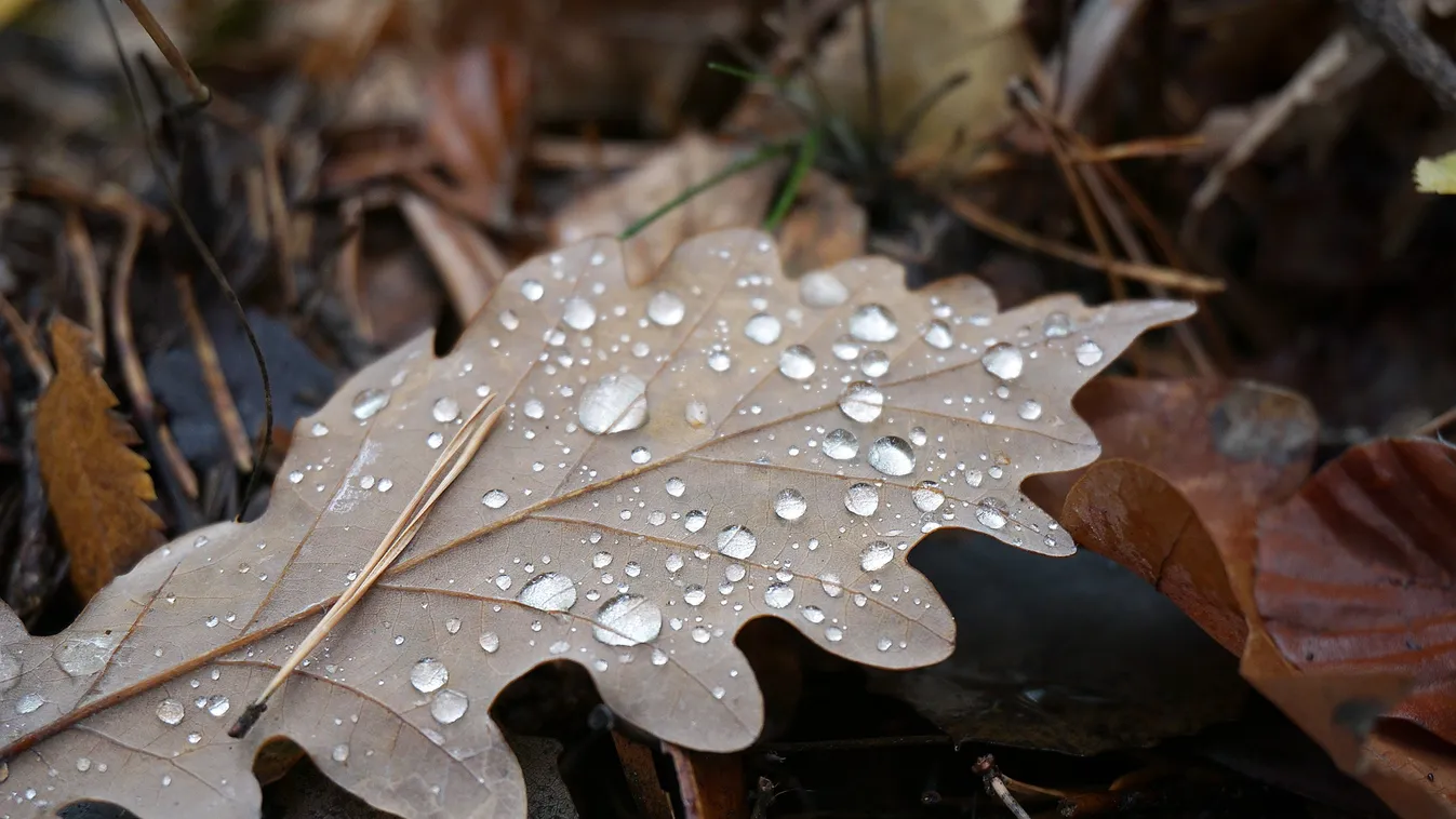 Vasárnap kirándulnál? Itt számíts esőre!