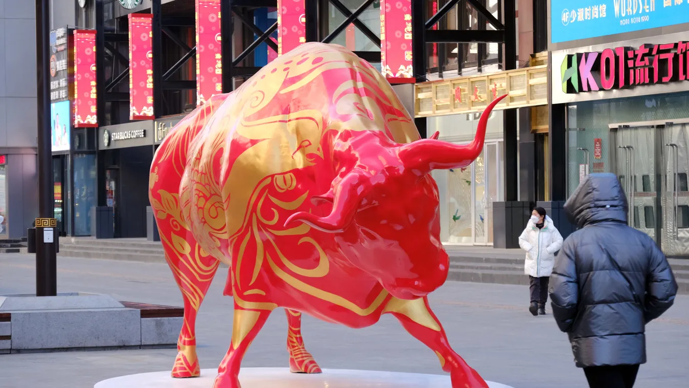 Bull Statue In Shenyang