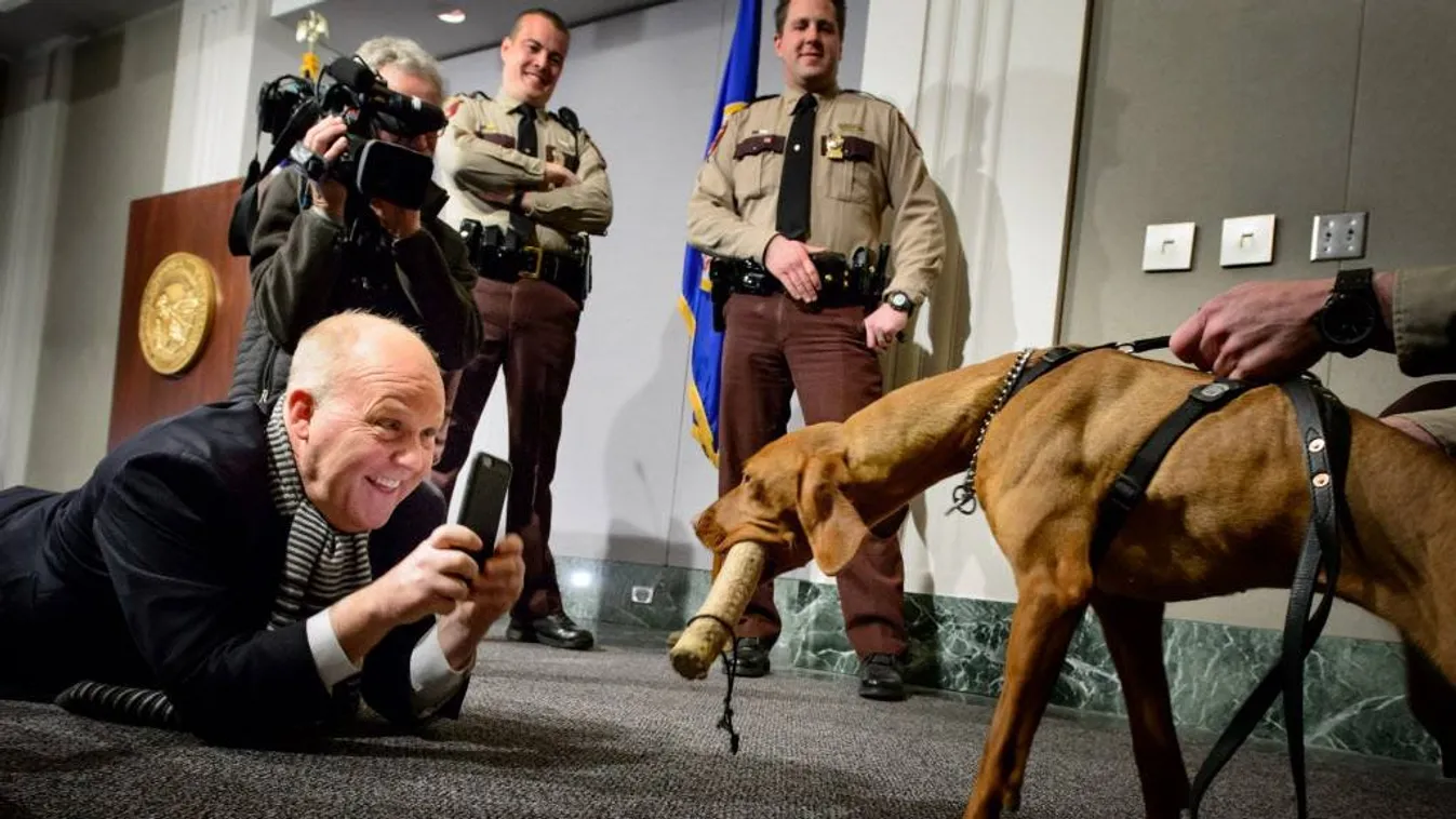 Sztár lett Amerikában Matka: magyar vizsla őrzi a Capitoliumot