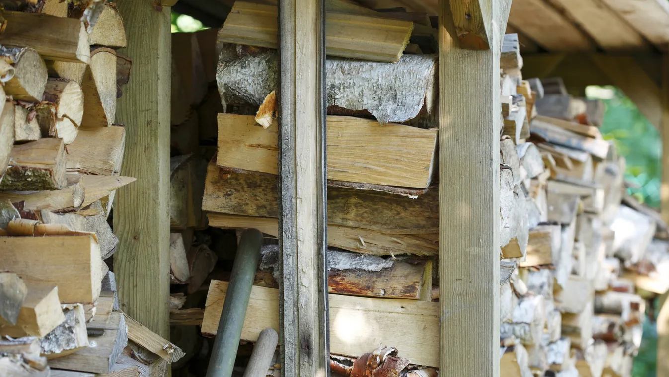 Nagy segítség: elérhető a tűzifavásárlást megkönnyítő online piactér