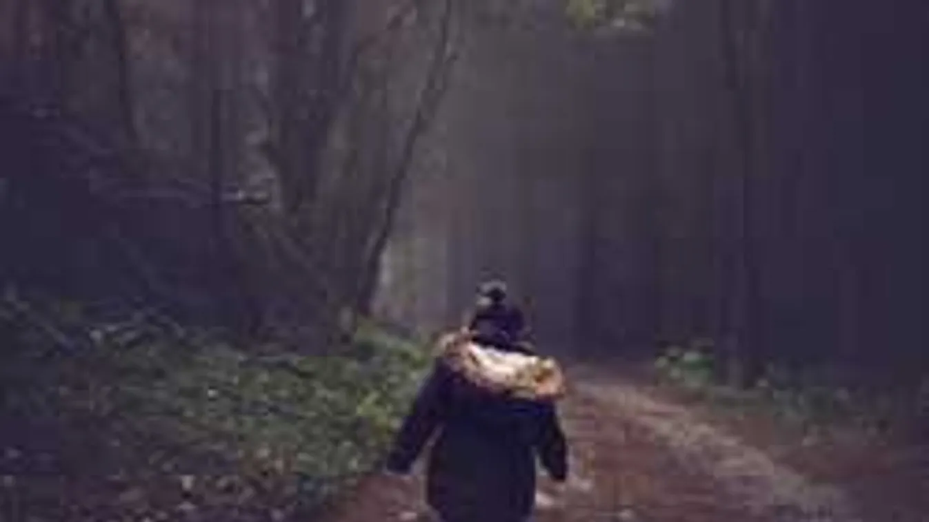 Sikítva pánikolt az édesanya: boltban ragadták ki kezéből a kislányát