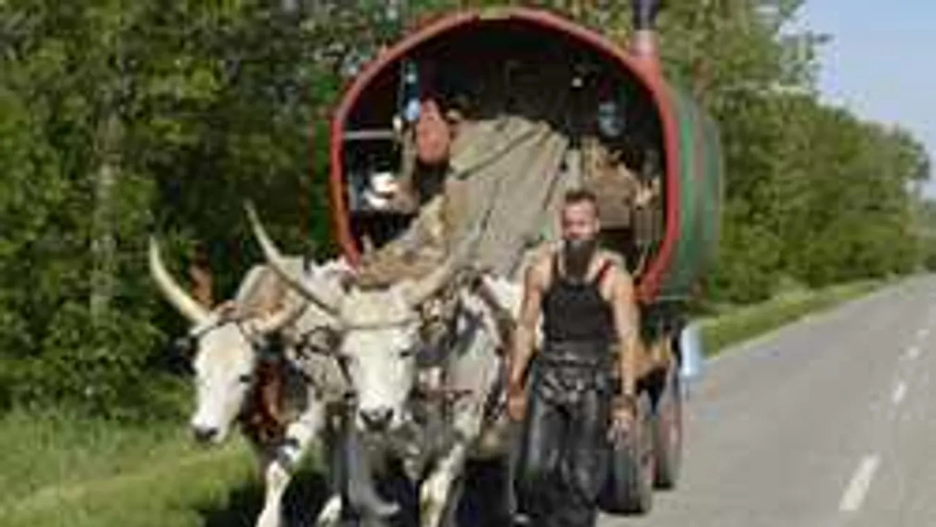 Tragikus balesete után rajongói gyászolják a magyar vándort