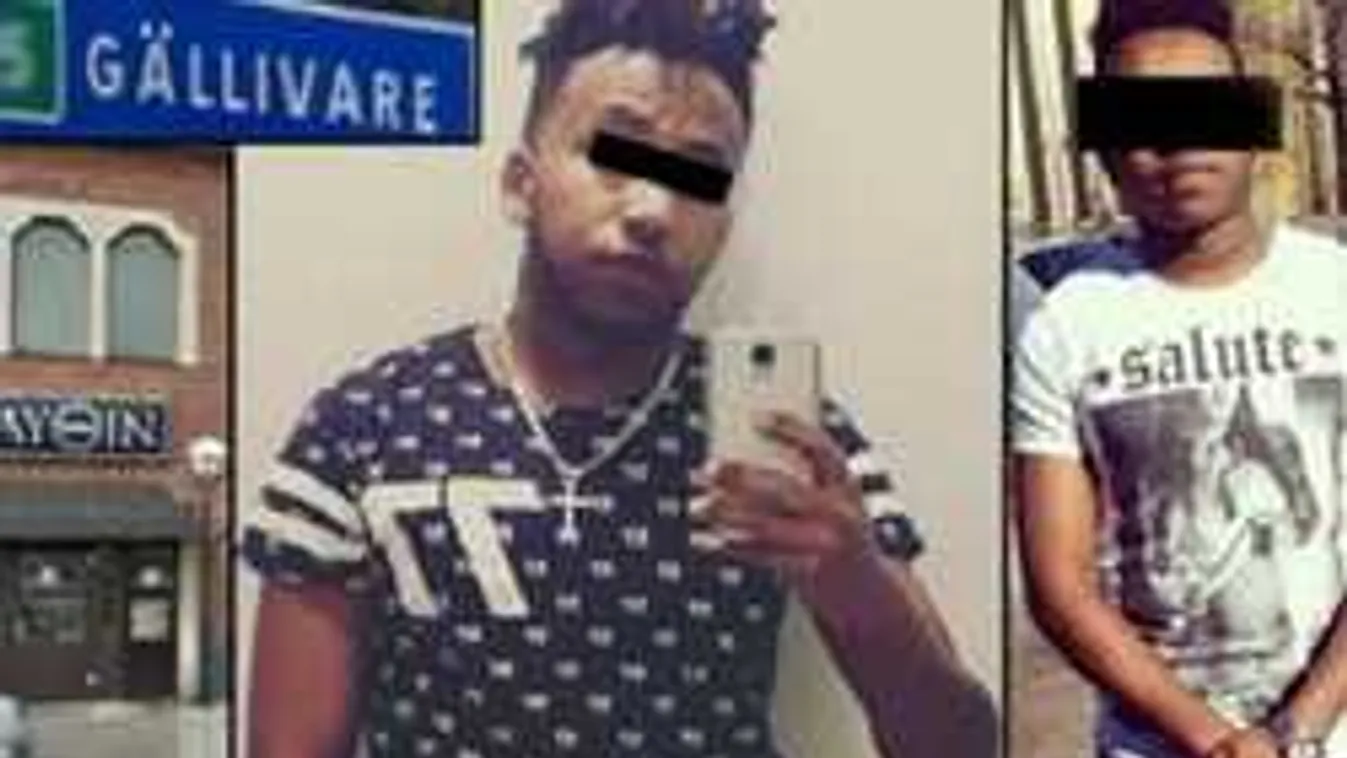 Egy bevándorló brutálisan megerőszakolta a svéd asszonyt, aki később meghalt