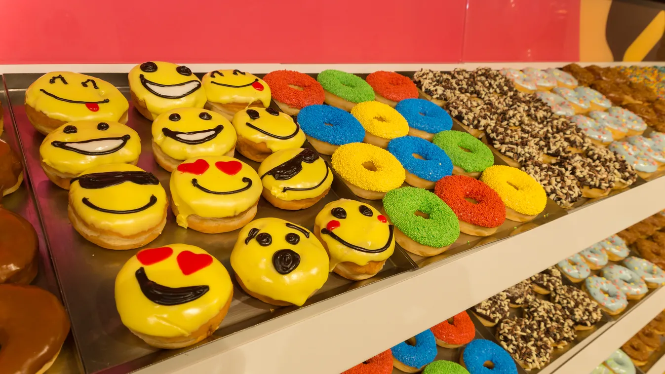 Sógora mentette meg a csődtől Vajna Timi fánkozóját