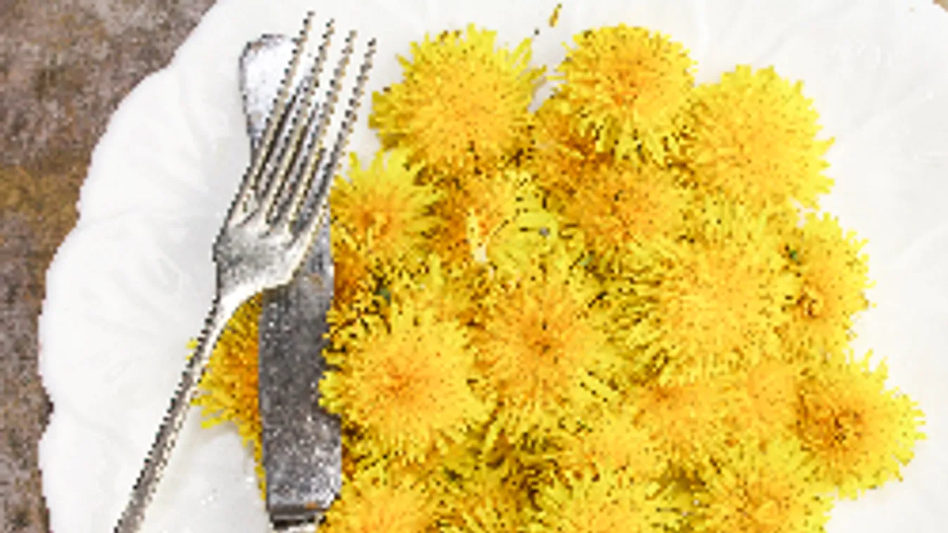 Pitypang-diéta: a narancsbőr legjobb ellenszere