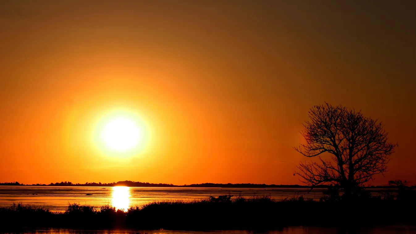 A sztárok is aggódnak a lángokban álló Amazonas miatt