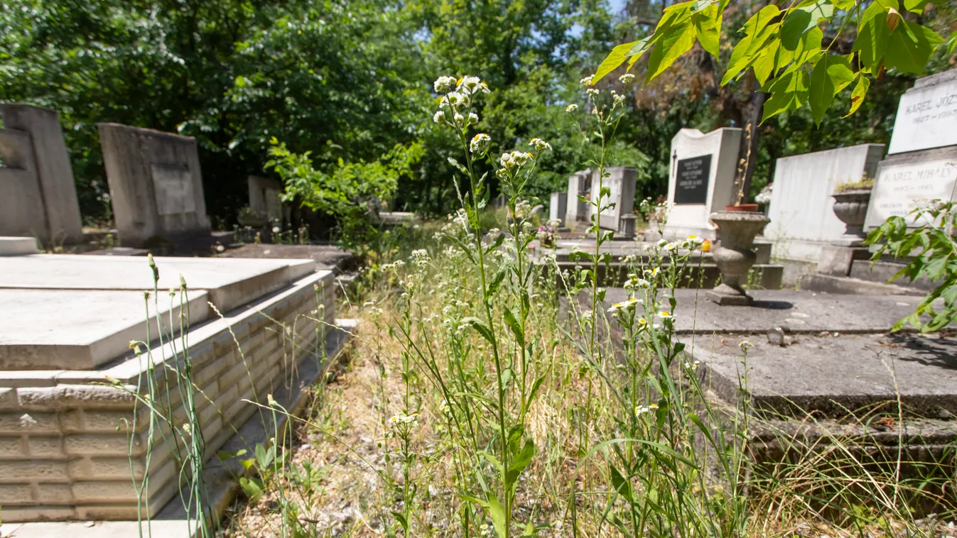 Ezt nem hiszed el: így néz ki a magyar temető, ahol a kaszás sem jár