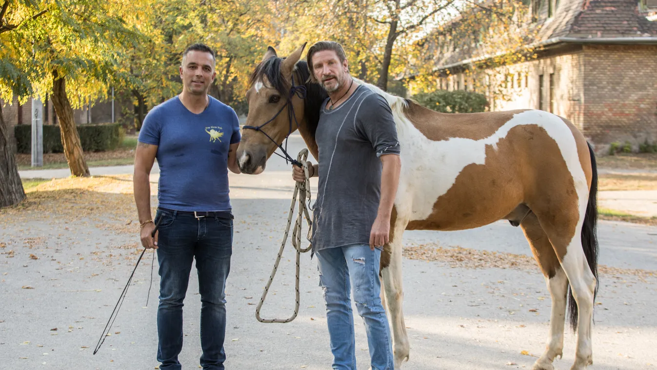 Ló suttogóval dolgozik Pintér Tibor