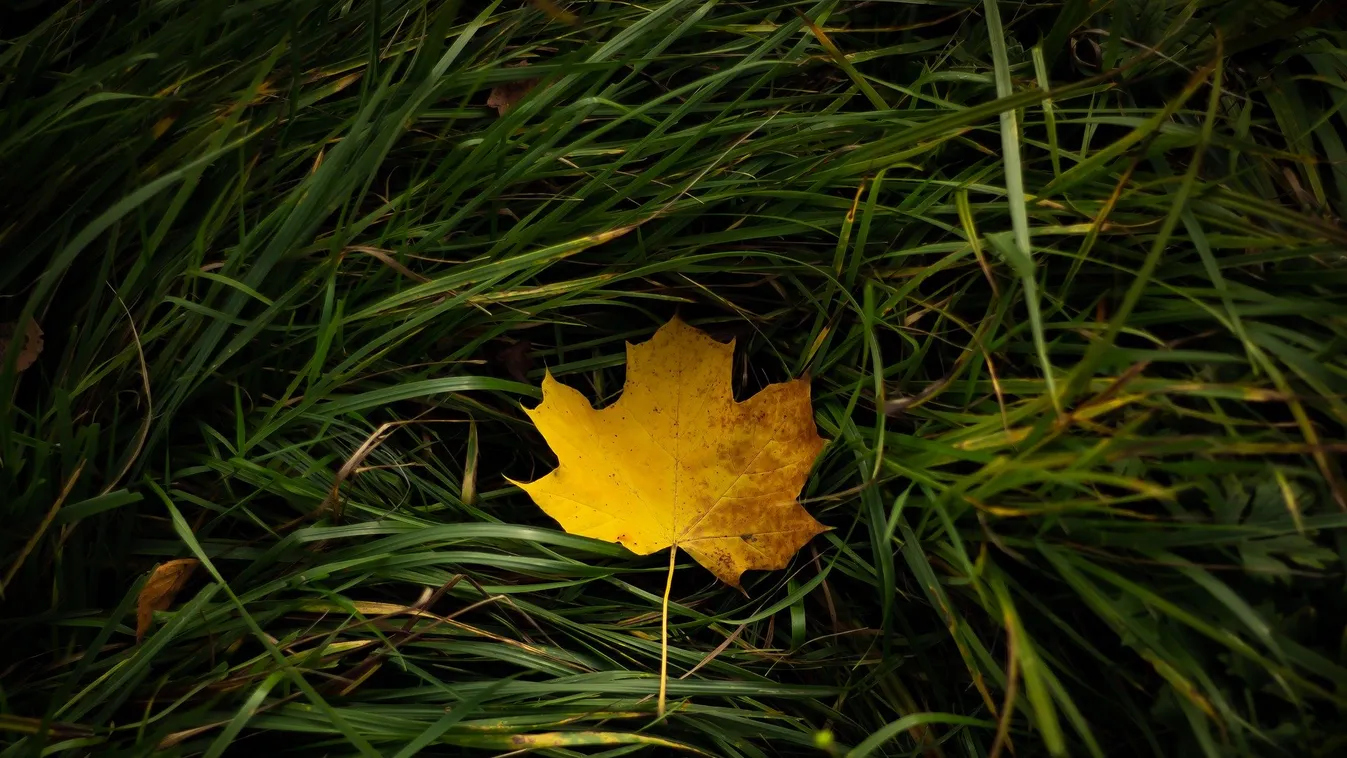 Beborul az ég hétvégére, eddig nem is látjuk a napot