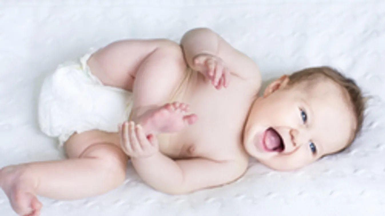 Beindult a Babakötvénybiznisz