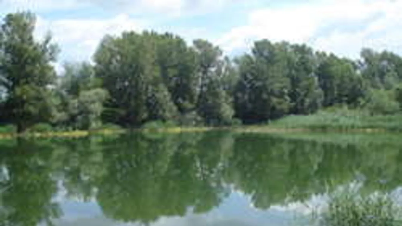 Nudistapéniszt fogott a horgász