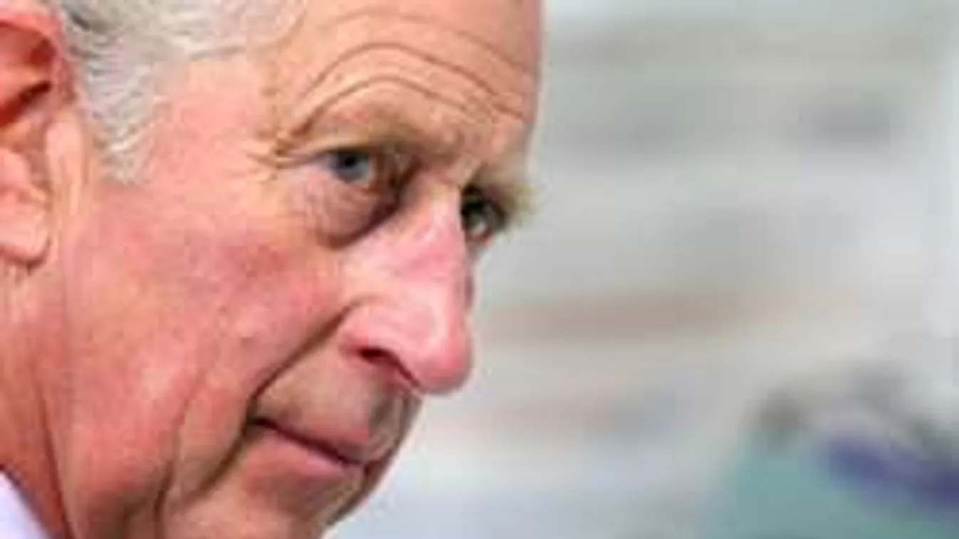 Károly herceg háborús fenyegetést lát