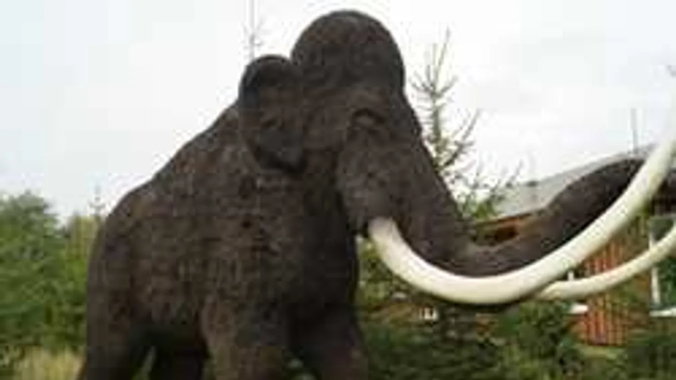 Ez nem vicc: feltámadnak a gyapjas mamutok!